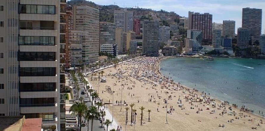 Huoneisto Benidorm, Alicante, Espanja 2 makuuhuonetta, 65 m2 No. 45475