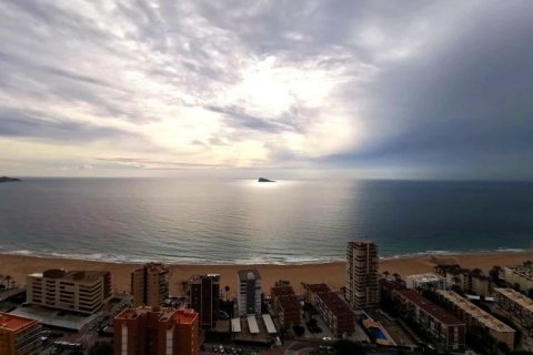 Kattohuoneisto myytävänä Benidorm, Alicante, Espanja, 3 makuuhuonetta, 278 m2 No. 42474 - kuva 3