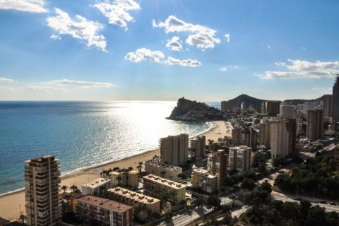 Hotelli myytävänä Benidorm, Alicante, Espanja, 120 makuuhuonetta,  No. 45768 - kuva 9