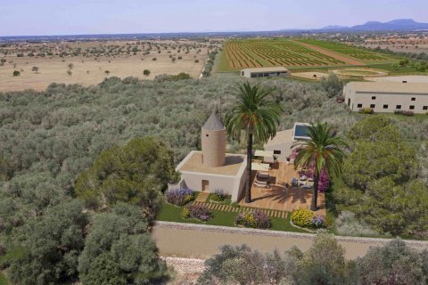 Finca myytävänä Campos, Mallorca, Espanja, 10 makuuhuonetta, 4473 m2 No. 49191 - kuva 10