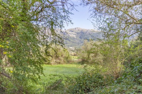 Finca myytävänä Pollenca, Mallorca, Espanja, 3 makuuhuonetta, 187 m2 No. 47801 - kuva 5