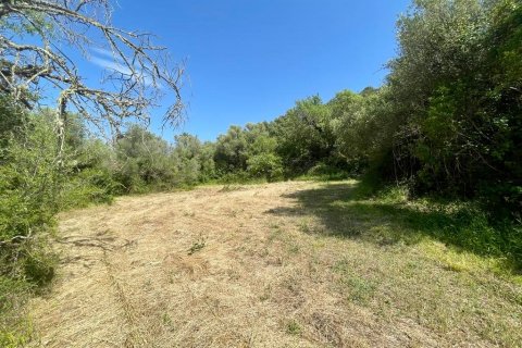 Finca myytävänä Pollenca, Mallorca, Espanja, 3 makuuhuonetta, 187 m2 No. 47801 - kuva 10