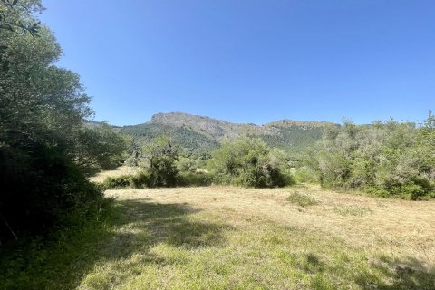 Finca myytävänä Pollenca, Mallorca, Espanja, 3 makuuhuonetta, 187 m2 No. 47801 - kuva 16