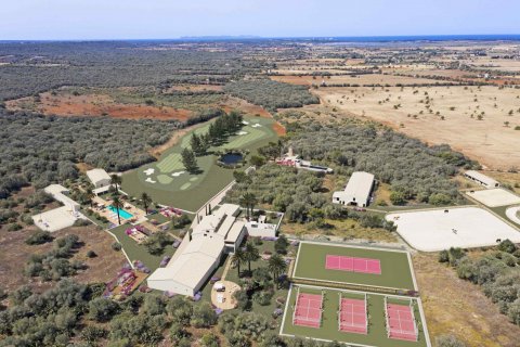 Finca myytävänä Campos, Mallorca, Espanja, 10 makuuhuonetta, 4473 m2 No. 49191 - kuva 8