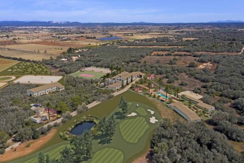 Finca myytävänä Campos, Mallorca, Espanja, 10 makuuhuonetta, 4473 m2 No. 49191 - kuva 9