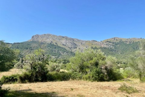 Finca myytävänä Pollenca, Mallorca, Espanja, 3 makuuhuonetta, 187 m2 No. 47801 - kuva 11