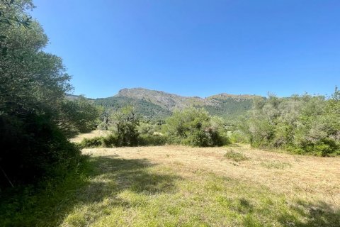 Finca myytävänä Pollenca, Mallorca, Espanja, 3 makuuhuonetta, 187 m2 No. 47801 - kuva 12