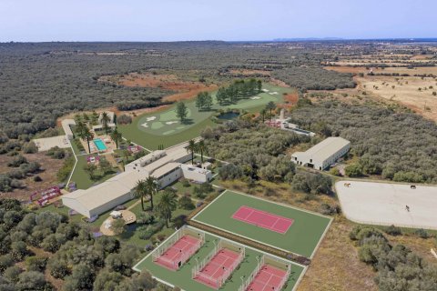 Finca myytävänä Campos, Mallorca, Espanja, 10 makuuhuonetta, 4473 m2 No. 49191 - kuva 5