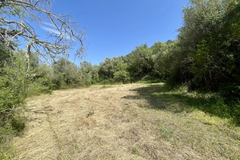 Finca myytävänä Pollenca, Mallorca, Espanja, 3 makuuhuonetta, 187 m2 No. 47801 - kuva 13