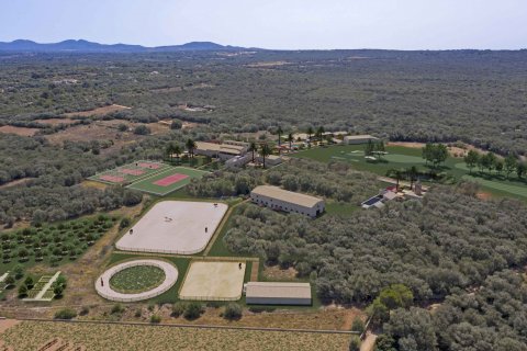 Finca myytävänä Campos, Mallorca, Espanja, 10 makuuhuonetta, 4473 m2 No. 49191 - kuva 6