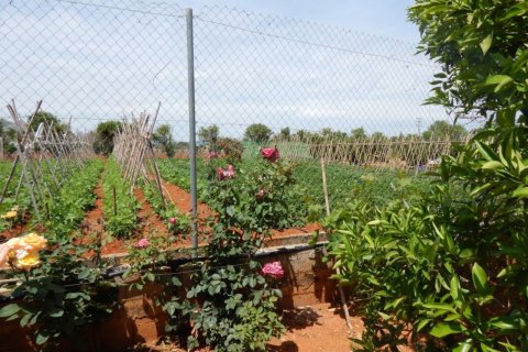 Finca myytävänä Ondara, Alicante, Espanja, 4 makuuhuonetta, 500 m2 No. 50224 - kuva 10