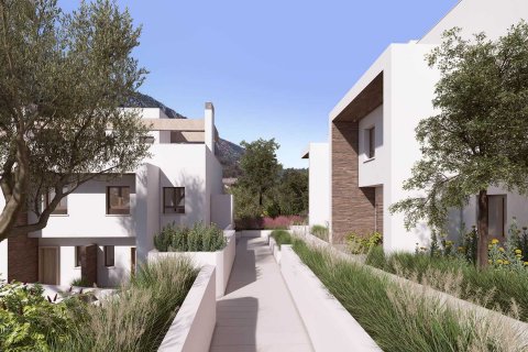 Almazara Istan, Malaga, Espanja No. 50355 - kuva 2