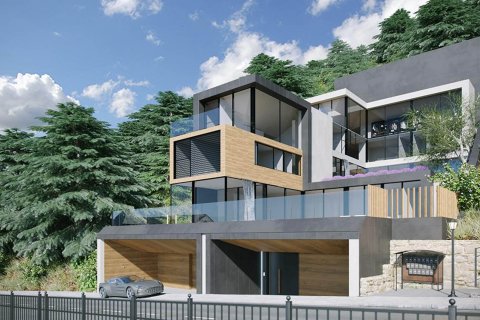 Peak Houses Principado De Andorra (Ninguna Poblacion Tiene C.P.), Lleida, Espanja No. 50588 - kuva 4
