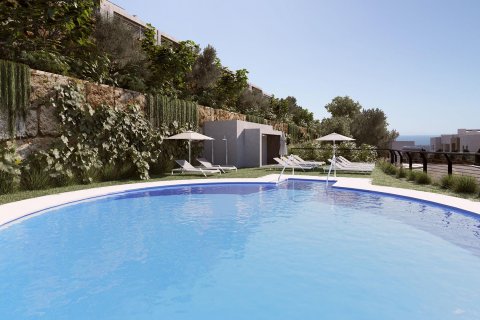 Almazara Istan, Malaga, Espanja No. 50355 - kuva 9