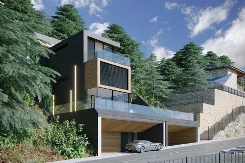 Peak Houses Principado De Andorra (Ninguna Poblacion Tiene C.P.), Lleida, Espanja No. 50588 - kuva 1