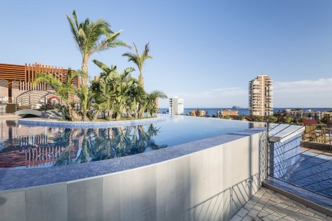 Huoneisto vuokrattavana Benidorm, Alicante, Espanja, 2 makuuhuonetta, 105 m2 No. 50239 - kuva 17