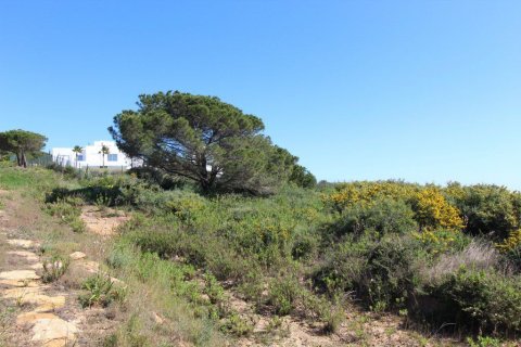 Tontti myytävänä Sotogrande, Cadiz, Espanja , 1314 m2 No. 53401 - kuva 6