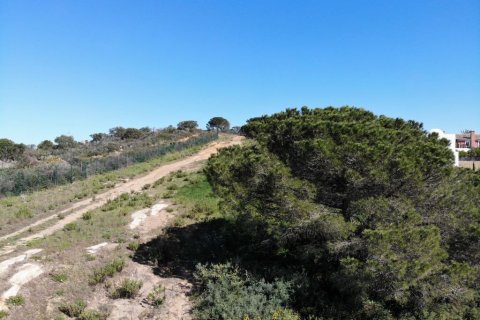 Tontti myytävänä Sotogrande, Cadiz, Espanja , 1314 m2 No. 53401 - kuva 8