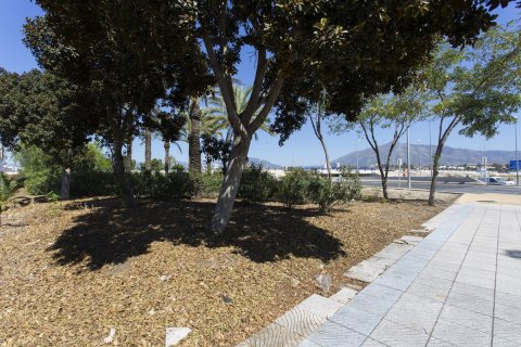 Kahvila / Ravintola myytävänä San Pedro de Alcantara, Malaga, Espanja , 142 m2 No. 55369 - kuva 5