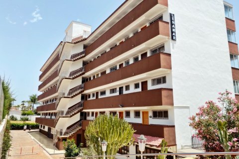 Huoneisto myytävänä San Bartolome De Tirajana, Gran Canaria, Espanja, 1 makuuhuone, 55 m2 No. 55223 - kuva 27