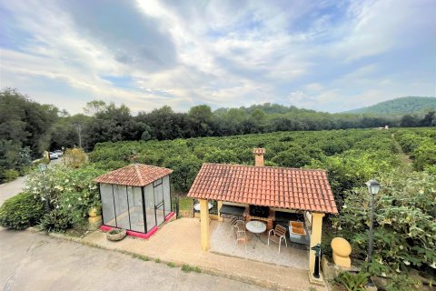 Finca myytävänä Sa Pobla, Mallorca, Espanja, 4 makuuhuonetta, 164 m2 No. 56688 - kuva 2