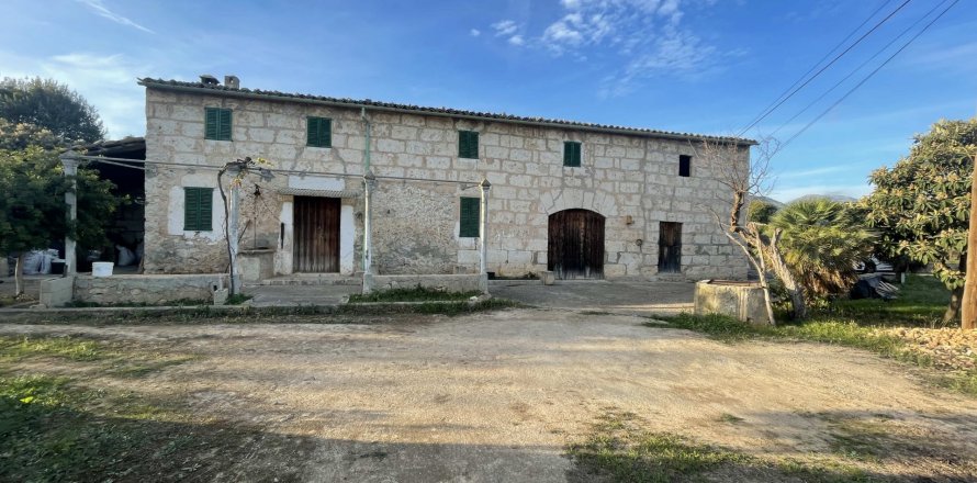 Finca Selva, Mallorca, Espanja 4 makuuhuonetta, 140 m2 No. 56617