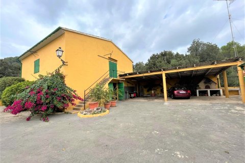 Finca myytävänä Sa Pobla, Mallorca, Espanja, 4 makuuhuonetta, 164 m2 No. 56688 - kuva 3