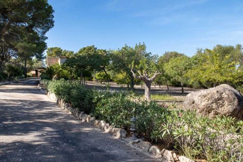 Finca myytävänä Porreres, Mallorca, Espanja, 4 makuuhuonetta, 634 m2 No. 55904 - kuva 9