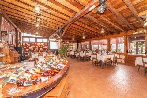 Finca myytävänä Granadilla de Abona, Tenerife, Espanja, 8 makuuhuonetta, 500 m2 No. 59867 - kuva 19