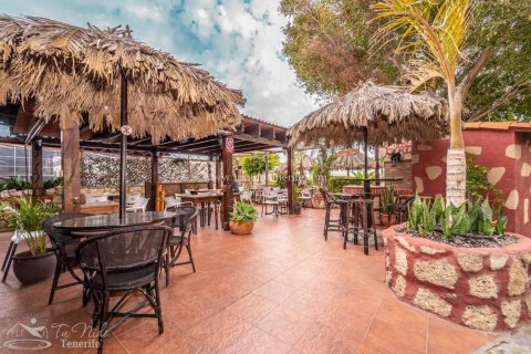 Finca myytävänä Granadilla de Abona, Tenerife, Espanja, 8 makuuhuonetta, 500 m2 No. 59867 - kuva 11