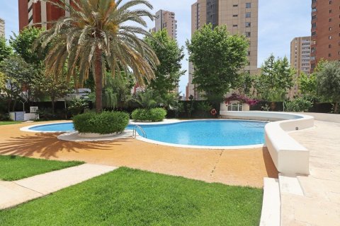 Huoneisto myytävänä Benidorm, Alicante, Espanja, 2 makuuhuonetta, 86 m2 No. 59444 - kuva 4