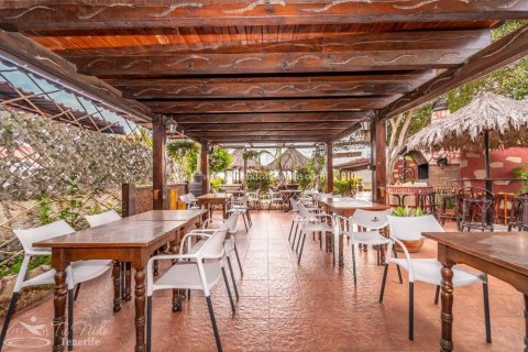 Finca myytävänä Granadilla de Abona, Tenerife, Espanja, 8 makuuhuonetta, 500 m2 No. 59867 - kuva 14