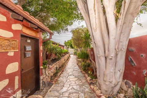 Finca myytävänä Granadilla de Abona, Tenerife, Espanja, 8 makuuhuonetta, 500 m2 No. 59867 - kuva 15