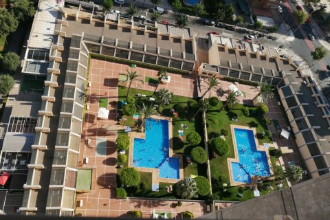 Huoneisto myytävänä Benidorm, Alicante, Espanja, 1 makuuhuone, 60 m2 No. 58925 - kuva 4