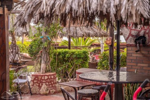 Finca myytävänä Granadilla de Abona, Tenerife, Espanja, 8 makuuhuonetta, 500 m2 No. 59867 - kuva 8
