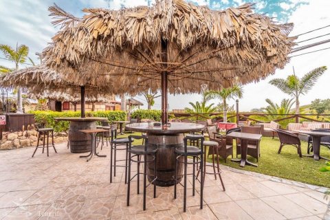 Finca myytävänä Granadilla de Abona, Tenerife, Espanja, 8 makuuhuonetta, 500 m2 No. 59867 - kuva 10