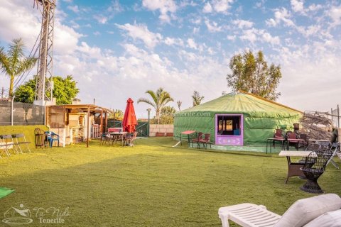 Finca myytävänä Granadilla de Abona, Tenerife, Espanja, 8 makuuhuonetta, 500 m2 No. 59867 - kuva 4