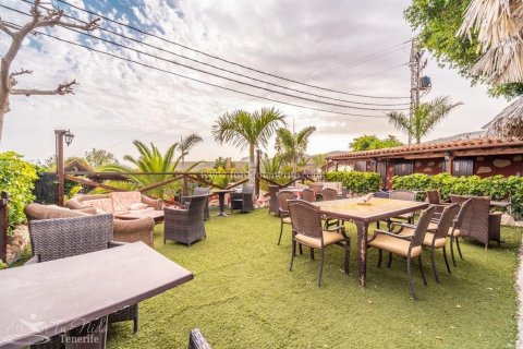 Finca myytävänä Granadilla de Abona, Tenerife, Espanja, 8 makuuhuonetta, 500 m2 No. 59867 - kuva 13