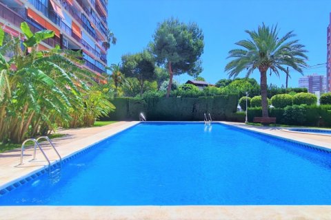 Huoneisto myytävänä San Juan, Alicante, Espanja, 2 makuuhuonetta, 77 m2 No. 59118 - kuva 3