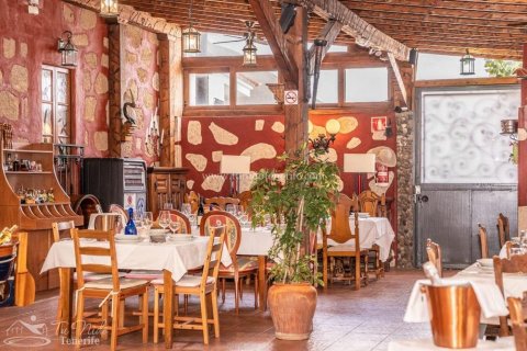 Finca myytävänä Granadilla de Abona, Tenerife, Espanja, 8 makuuhuonetta, 500 m2 No. 59867 - kuva 18