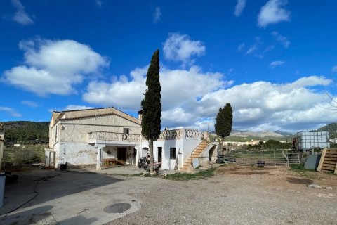 Finca myytävänä Andratx, Mallorca, Espanja, 4 makuuhuonetta, 259 m2 No. 60573 - kuva 1