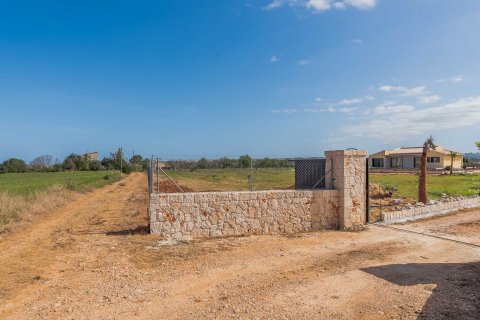 Finca myytävänä Llubi, Mallorca, Espanja, 3 makuuhuonetta, 137 m2 No. 60640 - kuva 15