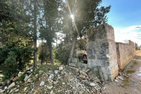 Tontti myytävänä Sa Pobla, Mallorca, Espanja, 1 makuuhuone, 30051 m2 No. 62588 - kuva 3