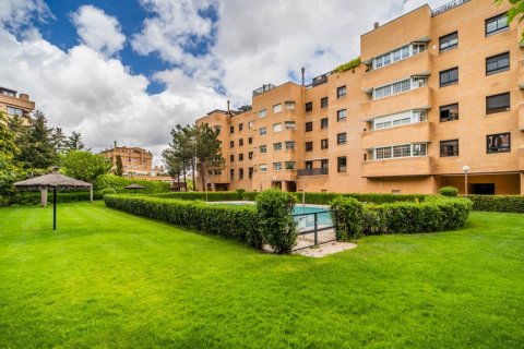 Huoneisto vuokrattavana Madrid, Espanja, 3 makuuhuonetta, 180 m2 No. 61695 - kuva 15