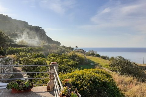 Finca myytävänä Banyalbufar, Mallorca, Espanja, 4 makuuhuonetta, 290 m2 No. 32599 - kuva 5