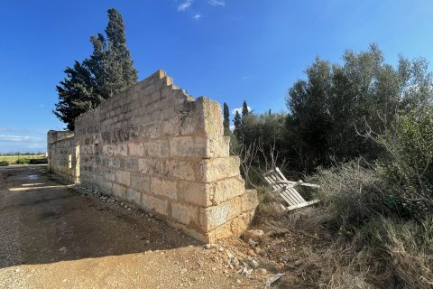 Tontti myytävänä Sa Pobla, Mallorca, Espanja, 1 makuuhuone, 30051 m2 No. 62588 - kuva 5