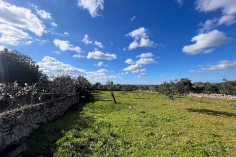 Finca myytävänä Costitx, Mallorca, Espanja, 3 makuuhuonetta, 311 m2 No. 62827 - kuva 2