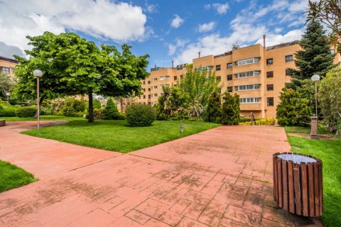 Huoneisto vuokrattavana Madrid, Espanja, 3 makuuhuonetta, 180 m2 No. 61695 - kuva 7