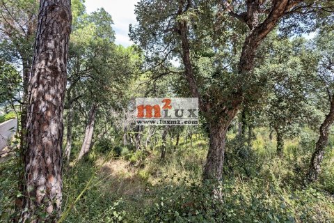 Land plot à vendre à Calonge, Girona, Espagne, 1041 m2 No. 16772 - photo 2