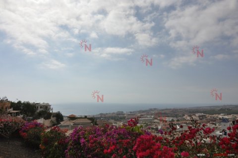 Villa à vendre à Torviscas, Tenerife, Espagne, 3 chambres, 400 m2 No. 18327 - photo 10